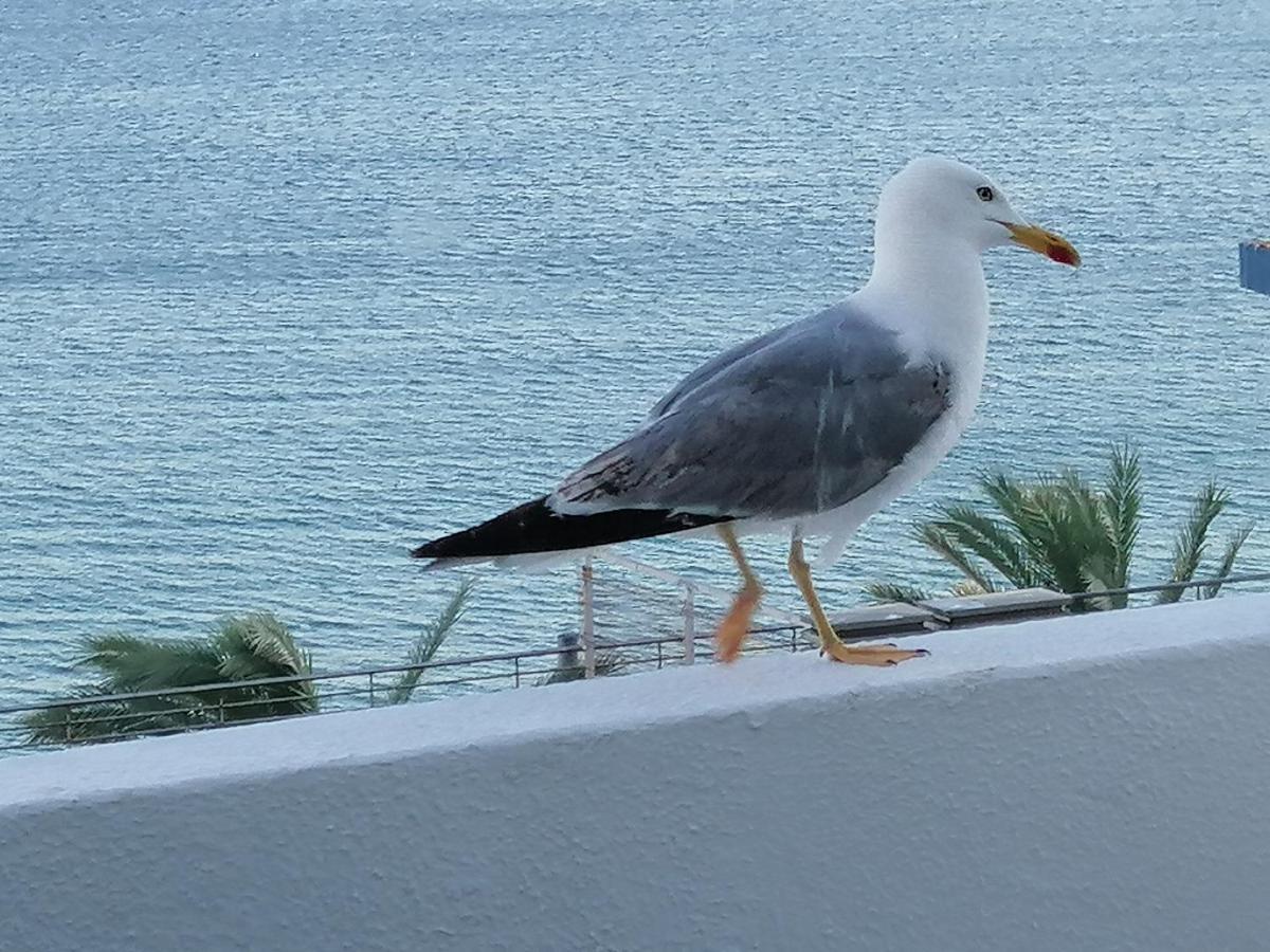 Sol, Mar E Praia Sesimbra Zewnętrze zdjęcie